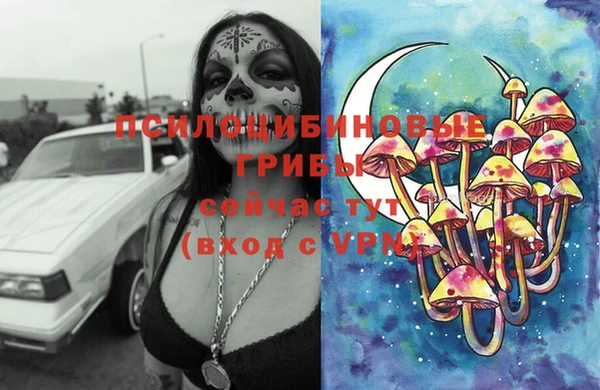 трава Коряжма