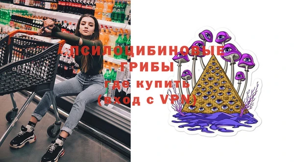 прущие крисы Корсаков
