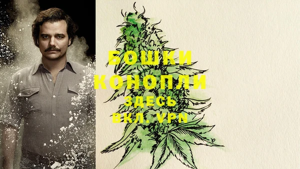 прущие крисы Корсаков