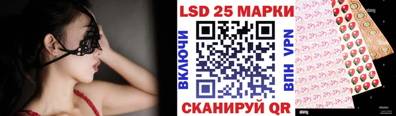 Марки N-bome 1500мкг  Кедровый 